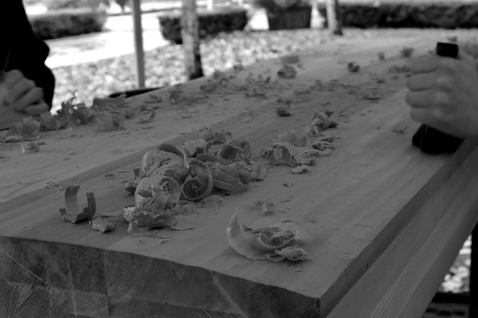 Two people working with hand tools on a large wooden plank, wood shavings scattered across its surface, in black and white.